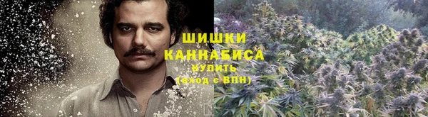 мдма Гусев