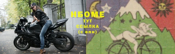 PSILOCYBIN Гусь-Хрустальный