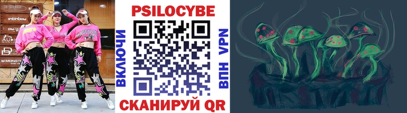 Псилоцибиновые грибы MAGIC MUSHROOMS Новосокольники