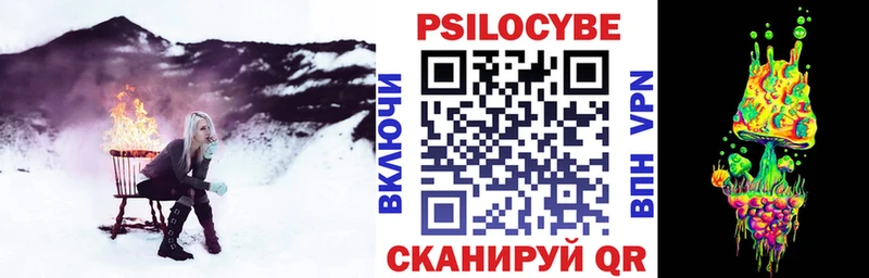 блэк спрут ТОР  Новосокольники  Псилоцибиновые грибы MAGIC MUSHROOMS  закладка 